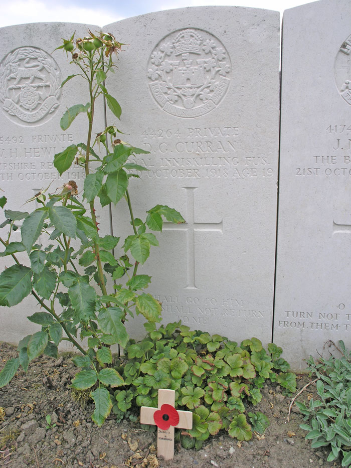 David George Curran's Grave